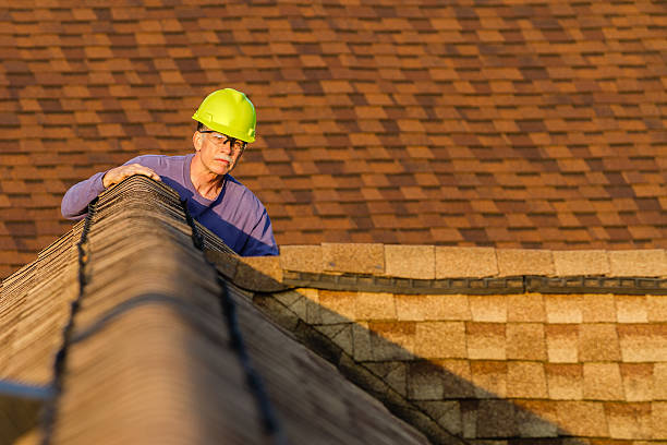 Best Roof Gutter Cleaning  in Langley, WA